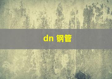 dn 钢管